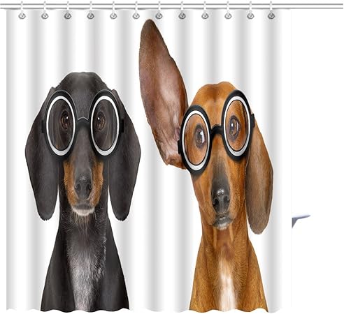 Shower Curtain Couple Of Dumb Silly Dachshund Sausage Dog Wearing Funny Nerd Glasses Isolated On White Graphics Prints Bathroom Decor Set With Hooks Shower Curtain Liner 7278 Inches Amazon Co Uk Kitchen Home