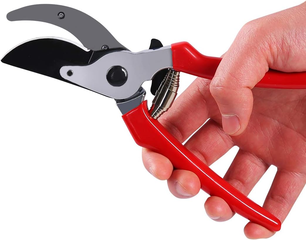 INGALIK Hand Pruners Small Professional Pruning Shears for Garden, Heavy Duty Tree Trimmers Sharp Bypass Hand Pruners with Stainless Steel Blades and Ergonomic Handle Fruit Trimming Hand Tool