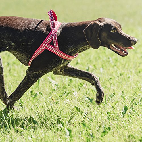 Hurtta Padded Dog Harness, Juniper, 39 in Pricepulse