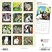 Rabbits 2020 12 x 12 Inch Monthly Square Wall Calendar, Domestic Pet Animals (English, French and Spanish Edition)