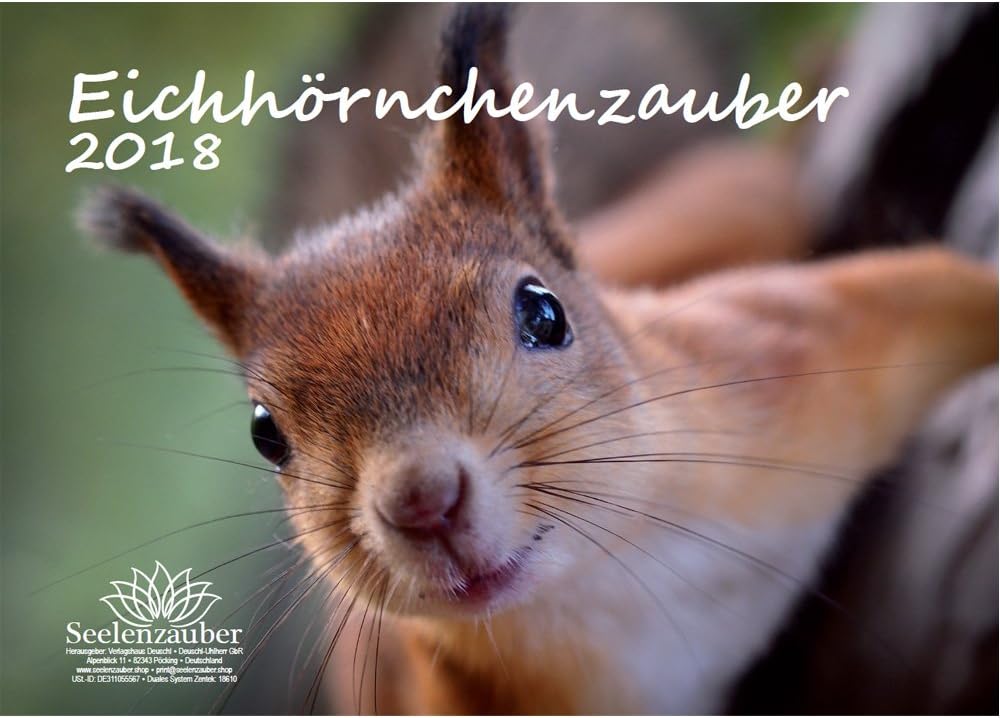 Premium Kalender 2018 · DIN A4 · Eichhörnchenzauber ...