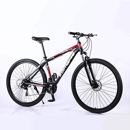 Velo de route 29 pouces Outlet