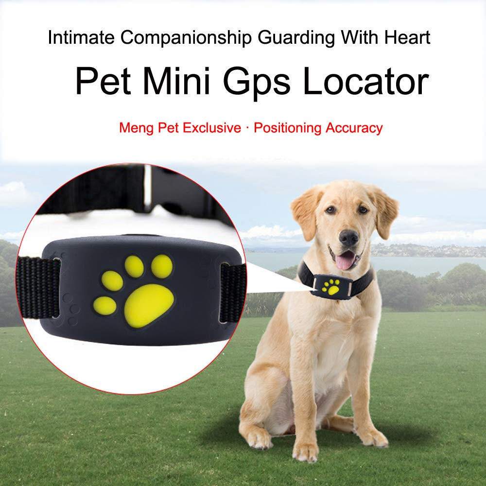 BUHWQ GPS Localizador Mascotas GPS para Perros Collar Gato Mascota GPS