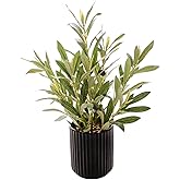 Ewtogift 14 inch Artificial Olive Plant Indoor Fake Plants with Ceramic Black Pot Faux Silk Plant with Realistic Trunk Perfect for Home Office Table Decoration