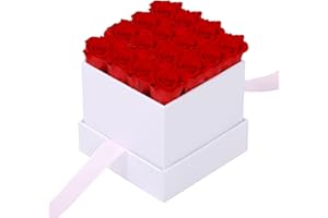 ANLUNOB 16Pcs Roses Valentines Day Gifts for Her,Valentines Rose Flowers Birthday Gifts for Women,Valentines Day Gifts for Wife Mom Girlfriend,Preserved Roses in a Box-Eternal Rose
