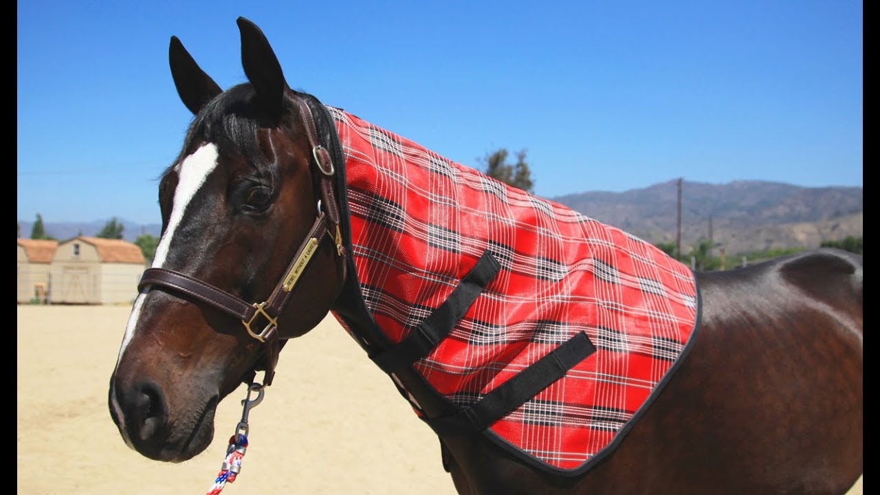 1 Kensington+KPP+Protective+Neck+Cover