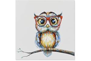 JAPO ART Funny Animal with Glasses Wall Art Hand Painted Owl Painting Colorful Owl Pictures Wall Decor for Kidroom Baby Nursery Room Bedroom 24x24 Inch