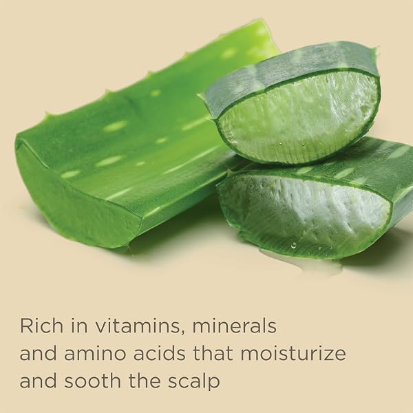 HAIRITAGE OUTTA MY HAIR GENTLE DAILY HYDRATING AND MOISTURIZING SHAMPOO FOR DRY HAIR WITH JOJOBA OIL + ALOE VERA – ULTRA-MILD + MOISTURE-RICH – IMPROVES DRY, BRITTLE STRANDS, 21 FL. OZ.
