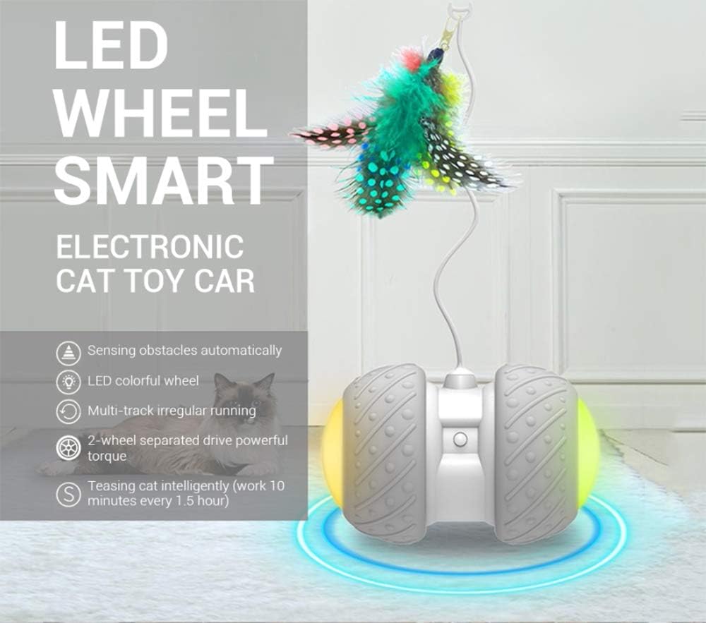 Interactive Robotic Cat Toys, Automatic Irregular USB Charging 360 Degree Self Rotating Ball, Automatic Feathers/Birds/Mouse Toys for Cats/Kitten, Build-in Spinning Led Light，Large Capacity Battery : Kitchen & Dining