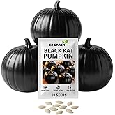 Exotic Black Kat Pumpkin Seeds for Planting (10 Seeds) &ndash; Deep Black, Smooth-Skinned Pumpkins &ndash; Rare Decorative Variety for Fall Gardens, Halloween Displays &amp; Autumn D&eacute;cor