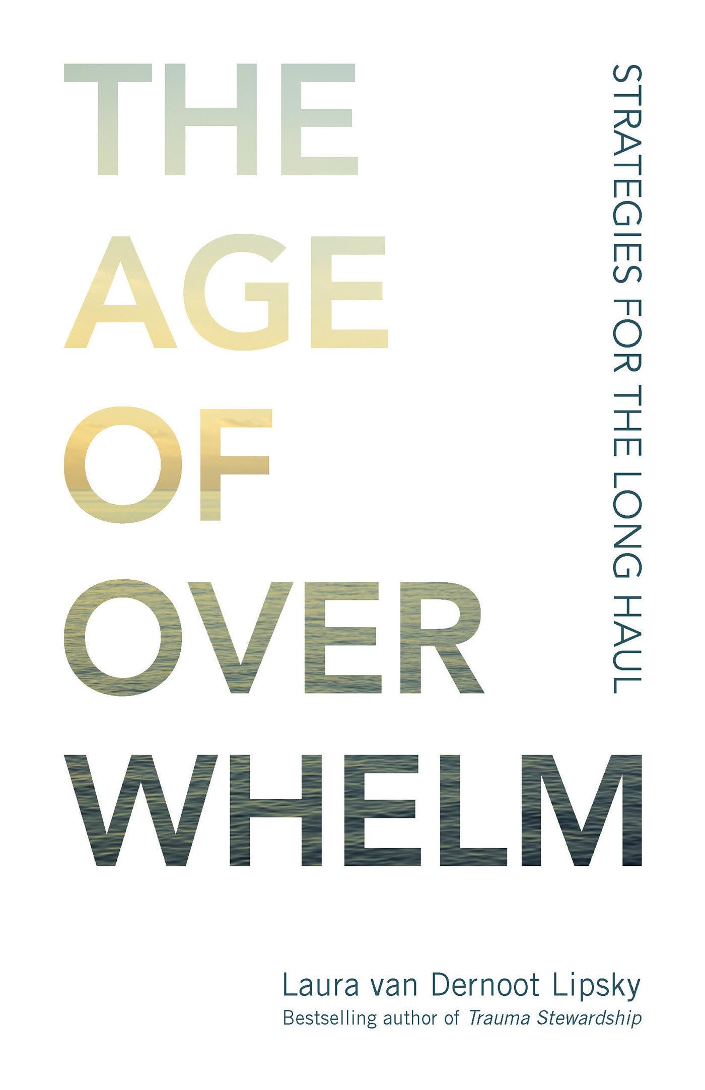 The Age of Overwhelm: Strategies for the Long Haul The Age of Overwhelm: Strategies for the Long Haul Paperback Audible Audiobook Kindle Audio CD