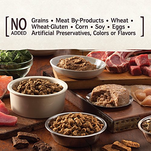 Wellness Core Small Breed Dog Food - Image 8