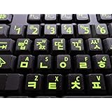 Korean Keyboard Stickers with Fluorescent Inlays. Large Symbols Will Not Wear, Smudge or Fade. Korean Conversion for All Laptop and Desktop Keyboards Also Free USB LED Light (White).