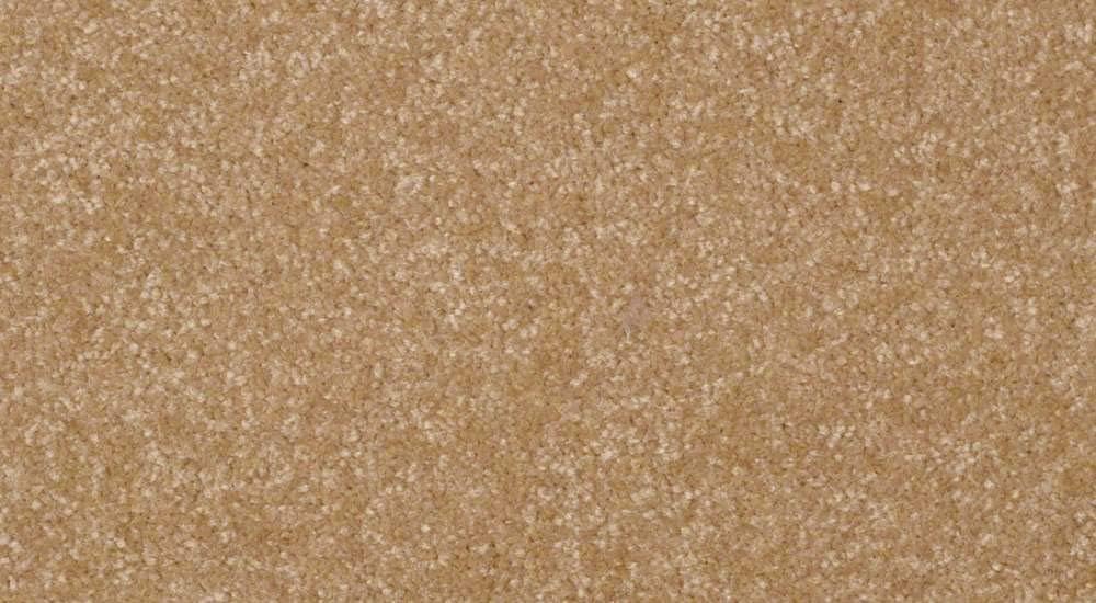 Best Shaw Living Carpet Runners