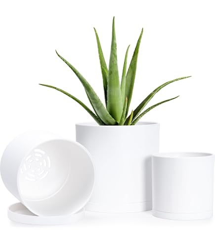 Amazon.com : D'vine Dev 4 Pack 4 Inch Modern Plastic Plant Pots