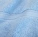 Superior Egyptian Cotton Pile Bath Towel Set of 2, Ultra Soft Luxury Towels, Thick Plush Essentials, Absorbent Heavyweight, Guest Bath, Hotel, Spa, Home Bathroom, Shower Basics, Light Blue