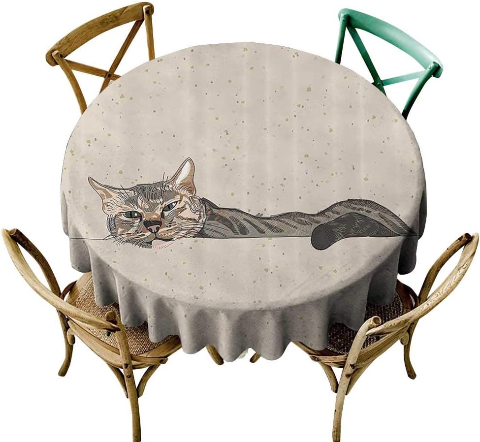 Amazon Jbgzzm エレガント 防水 こぼれ防止 ポリエステル生地 テーブルカバー 猫 レイジーな眠れる猫 アーストーン 可愛い フワフワのマスコットインドア ペットアート イラスト お手入れ簡単 タン ディングレー D63 テーブルクロス オンライン通販