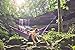 Yupro Extra Strength Hammock Tree Straps - 9.2~10.5 ft 100% No Stretch Hammock Straps Set Versatile 2000+ LBS Suspension System Kit for Camping Hammock