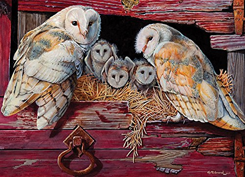 Cobble Hill Barn Owls 1000 Piece Jigsaw Puzzle