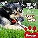 All Natural Bully Sticks Cane 12 inch, FDA & USDA Approved (1)