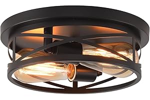 Black Flush Mount Ceiling Light,Hallway Light Ceiling Mount,Industrial Vintage Metal Cage Close to Ceiling Lights for Kitchen
