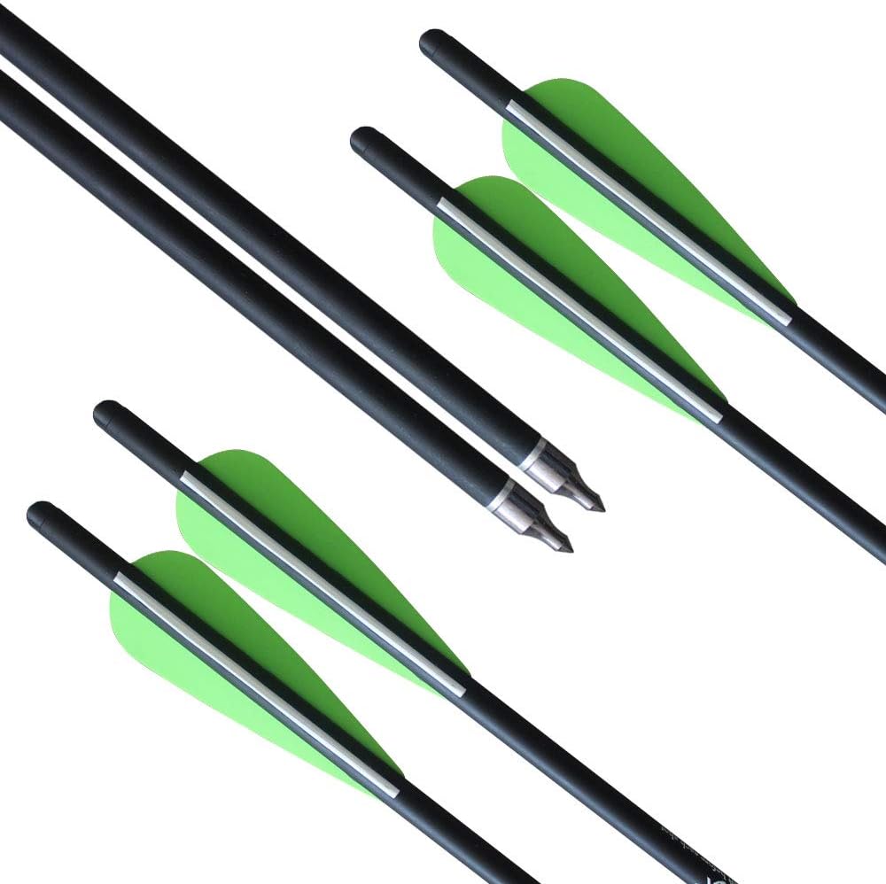 REEGOX 20 inch Crossbow Bolts Bio with 4-Inch Vanes(Pack of 12) : Sports & Outdoors