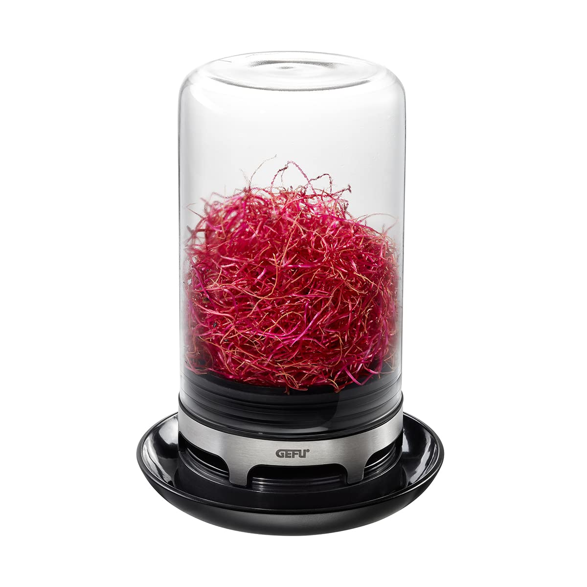 GEFU BIVITA® Sprouting Jar – Mini Greenhouse with Ventilation for Fresh Kitchen Sprouts – Glass Dome & Stainless-Steel Base