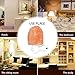 Home Decoration Mini Hand-carved Natural Crystal Salt lamps Himalayan Salt Night Light Lamp Wall Light Nursery Nightlight US Plug