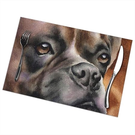 how long are boxers in heat