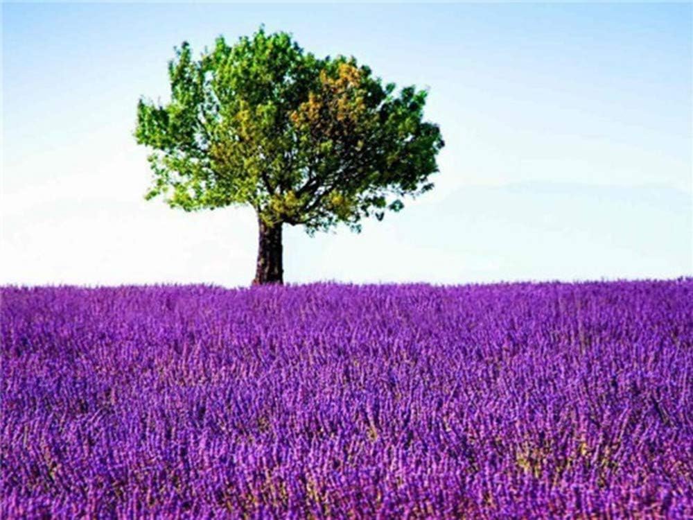 Get Nacs leinwand For Android