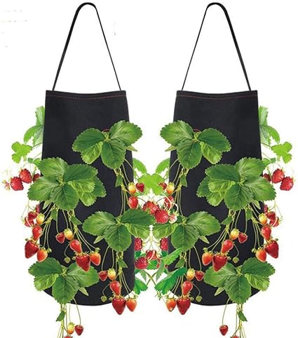 Reone Planting Grow Bags For Strawberry Vertical Wall Garden Planter 1 Pack Waterproof Breathable Felt Cloth Wall Hanging Cultivation Bags Amazon Co Uk Garden Outdoors