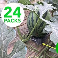 COOES Soporte de Melón de plástico (24 Piezas) para Plantas y ...