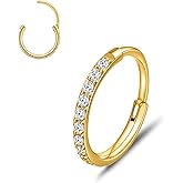 limerencia Nose Rings Hoop, 20G Titanium Cubic Zirconia Nose Ring for Women Men, Hinged Segment Septum Lip Rings Cartilage Conch Rook Helix Tragus Daith Earrings, Piercing Jewelry