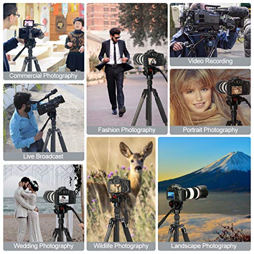 SIRUI Profi Traveler VC Video-Stativ, 159 cm, Carbon, Reise-Video-Stativ mit Videoneiger, Tragkraft bis zu 3 kg – Bild 8