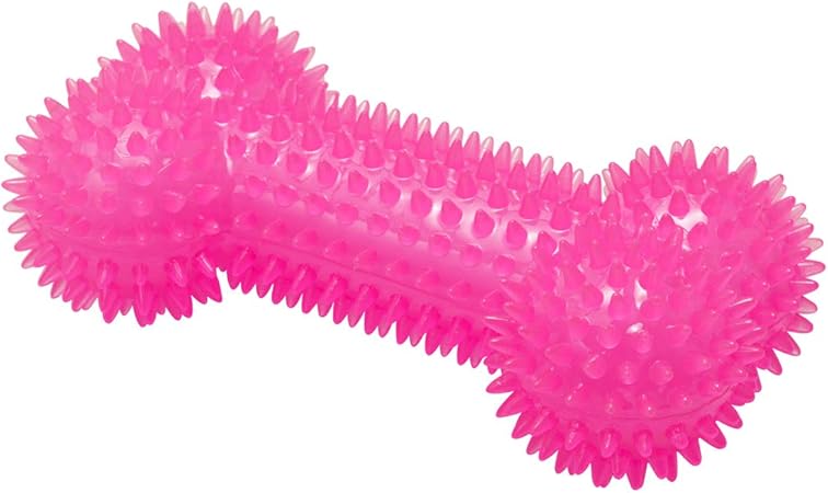 labradoodles for sale in my area