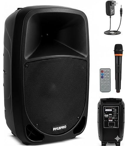Haut-parleur Bluetooth amplifié Radio FM portable rechargeable et