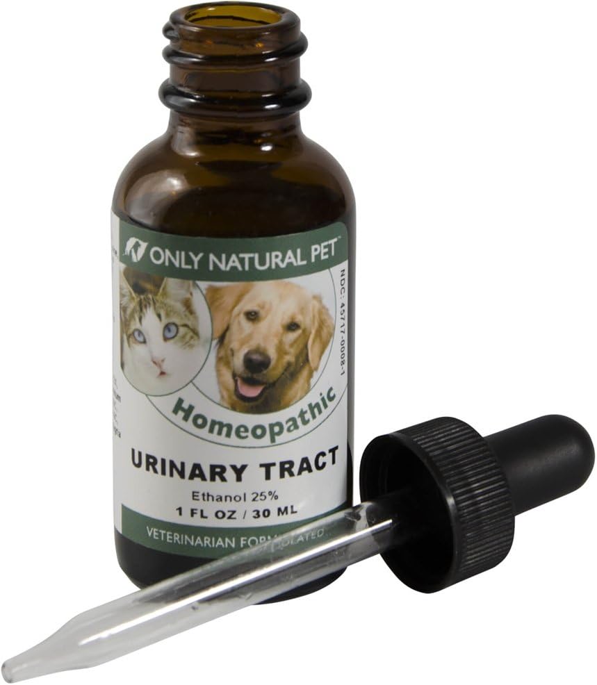 puppy uti home treatment