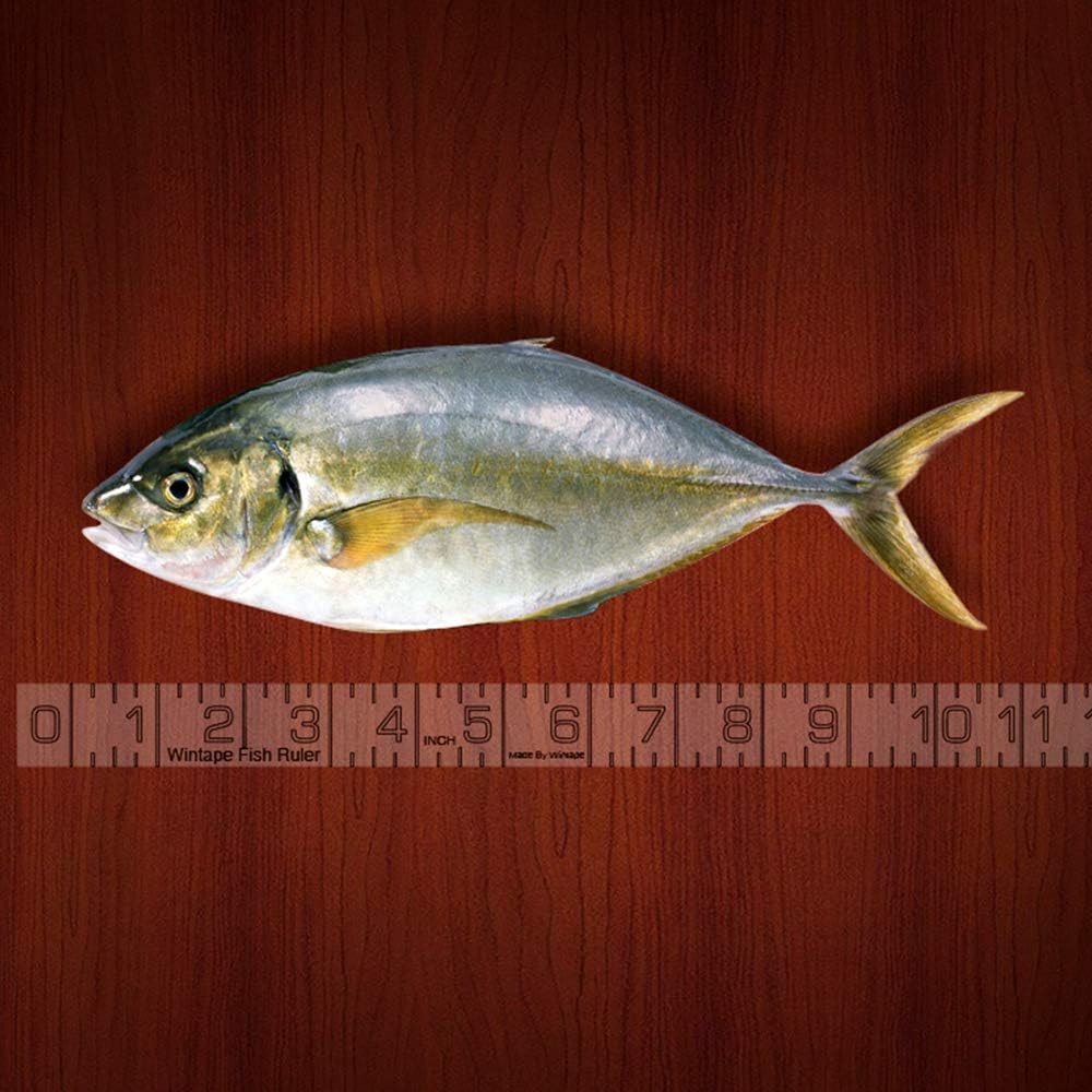 adhesive fish measuring tape