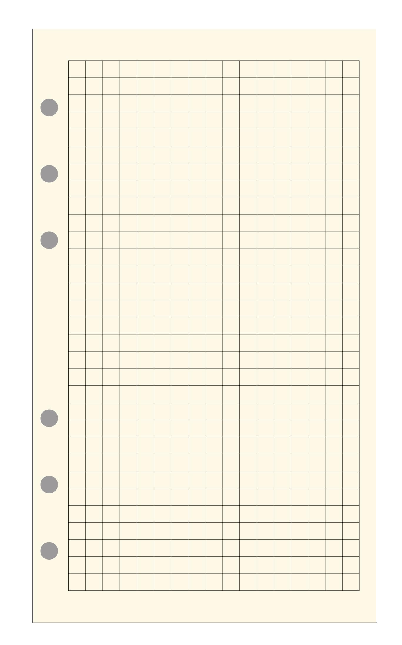 Exacompta 18511 Refill Sheets 5 x 5 mm Squared Paper for Exatime 17 cm 44 Pages – Ivory