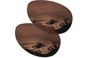 SmartVLT Women's Replacement Lenses/Nosepieces for Oakley Feedback OO4079 Sunglass - More Options