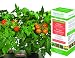 AeroGarden - Cherry Tomato Seed Kit - Red Heirloom Tomatos - AERO501