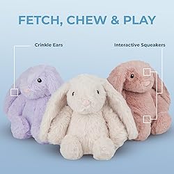Best Pet Supplies Interactive Squeaky Dog Chew