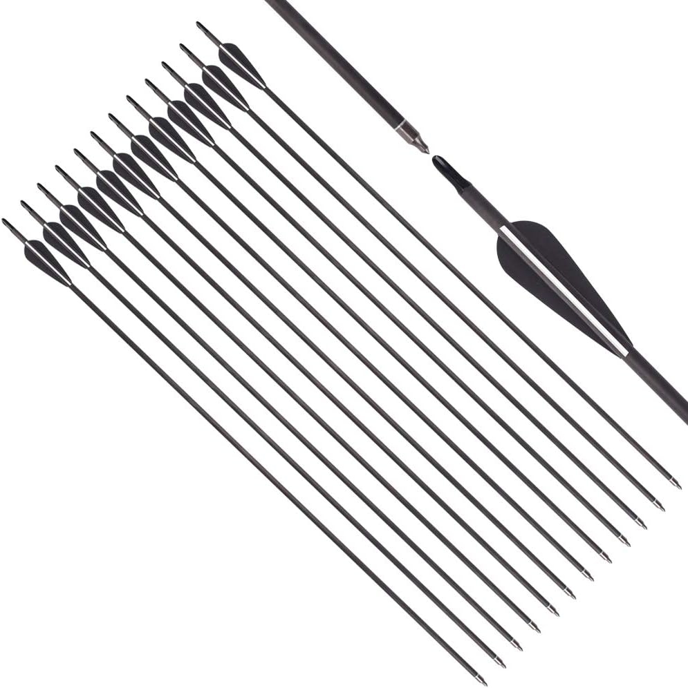 Carbon Arrow Practice Hunting Arrows with Removable Tips for Archery Compound & Recurve & Traditional Bow (Pack of 12)