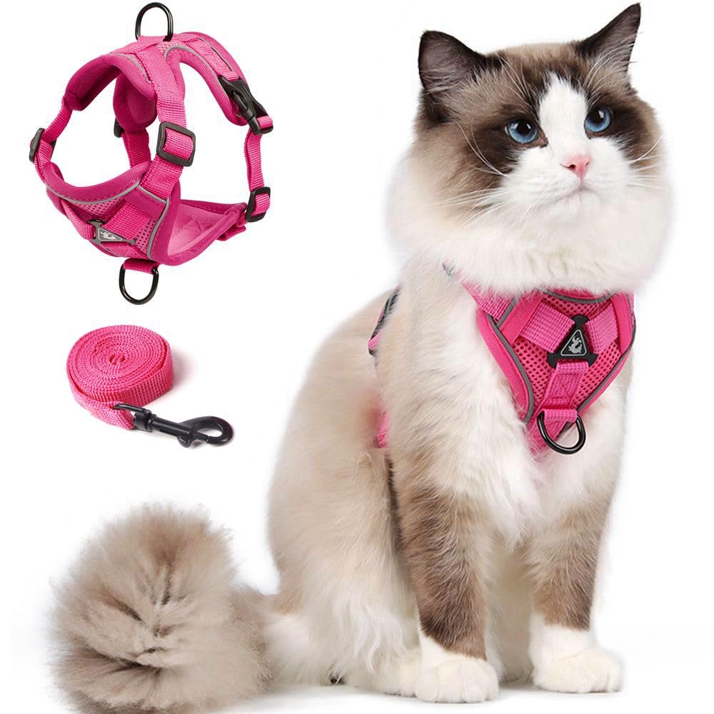 Cat Harness and Leash Set for Kitten, Upgraded Escape Proof Adjustable Vest with Lead for Small Cat Outdoor Walking, Soft Breathable Mesh Jacket with Reflective Stripes for Night… (S, Rose Pink) — image 1