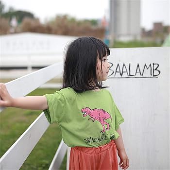 Amazon Izyjoy ベビー服 男の子 女の子 半袖 Tシャツ 可愛い 恐竜 服 キッズ パジャマ 夏用 子供服 半袖tシャツ 韓国子供服 ベビー 赤ちゃん 洋服 韓国 キッズ服 ルームウェアー 部屋着 春 夏 通学 子供の日 プレゼント パジャマ 通販