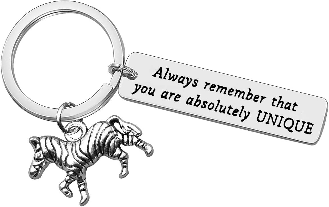 Vadaka Inspirational Keyring Encouragement Gift for Zebra Lover Gift Always Remember That You are Keychain Keyring Graduation Anniversary Christmas Birthday Present for Women Men Friend