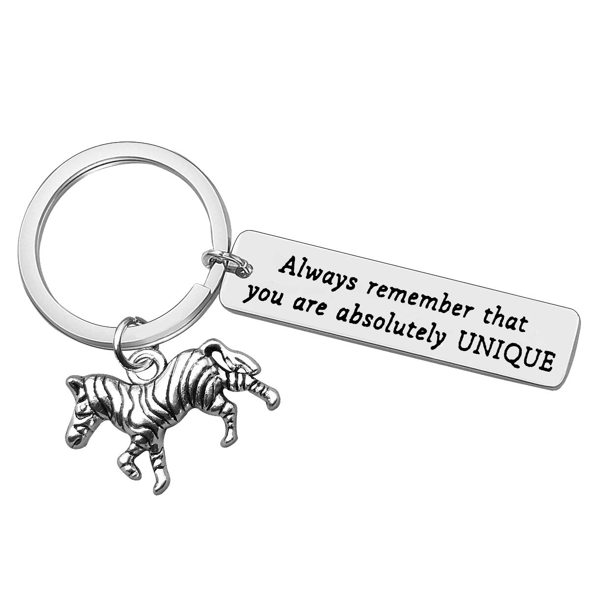 Vadaka Inspirational Keyring Encouragement Gift for Zebra Lover Gift Always Remember That You are Keychain Keyring Graduation Anniversary Christmas Birthday Present for Women Men Friend