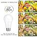 CTKcom A19 LED Light Bulbs 5W(4 Pack)- 40 Watt Equivalent 6000K Daylight White LED Light Bulbs E26/E27 Base,270 Degree Beam Angle for Home Dining Room Bedroom Living Room,UL Listed,Pack of 4