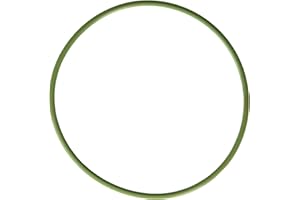 VICTOR REINZ MAHLE Original G31955 Fuel Injection Throttle Body Mounting Gasket