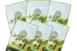 FloralSimplicity Honeysuckle Scented Sachets Pack of 6, Spring and Summer - Long-Lasting Scented Bags, Home Fragrance, Air Freshener & Deodorizer for Closet, Room, Drawer, or Cars, Made in USA